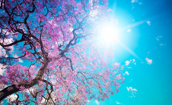 UpThereArg's tweet image. #spring is here!!! Renewed energy and love bloom. Let's Enjoy it and be thankful!