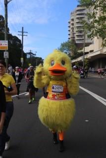 dccaustralia's tweet photo. Thank you to our #RunningDucks who joined us at @officialbsrf yesterday to raise awareness for children's literacy! http://t.co/tH0PSun7IJ