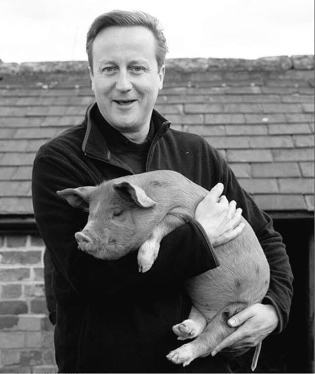 Classic_picx's tweet photo. British Prime Minister David Cameron pictured with his then girlfriend at Oxford University 1988. http://t.co/PTaGx3eq5h