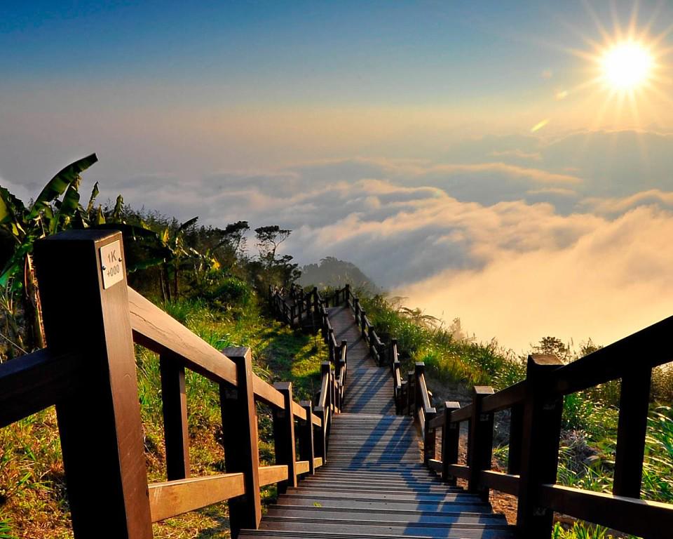 CutHester's tweet image. 