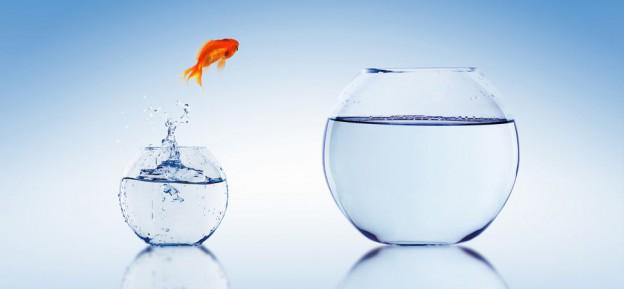 Steven_Cohen's tweet photo. When is it time to expand your business?: The five triggers to look out for http://t.co/m1OxsqTpAF http://t.co/BgG4O5dUKp