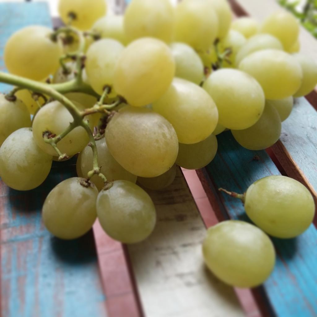 TocFruit's tweet photo. Colori Settembrini!  #toctocfruit http://t.co/lKzNfbdKcz