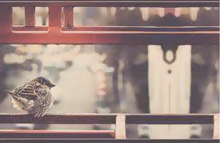 كافي ياروحي عليمن#راجعة
ولله مايستحق حتى#نوادعة
#الباع ما يصحة ضميرة؟
#كبل جان شعندي غيرة
هسة عدنا'الله#ورحمتةالواسعة