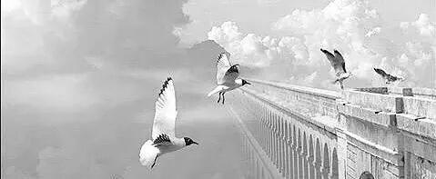 لا توجد نصيحة تساعد من لا يساعد نفسه
فلا يمكن إجبار شخص على تسلق الدرج إذا كان لا يتوق إلى الارتفاع
#أندرو_كارنيغي