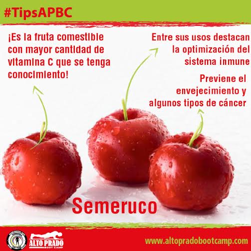 altopradobootca's tweet photo. El #semeruco es reconocido como la #fruta de más alto contenido de ácido ascórbico #TipsAPBC #AltoPradoBootCamp http://t.co/O7y5kRjstr