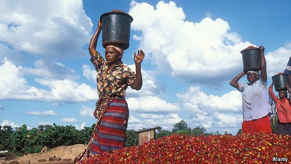 TheEconomist's tweet photo. Africa's poorest people are nearly all farmers. This must change http://t.co/lu9Ym2Pbr0 http://t.co/TPwdvqDA9c