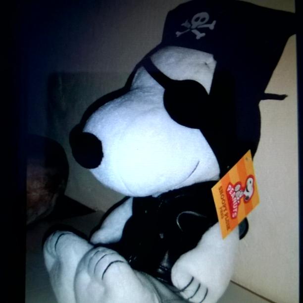 app_pik's tweet photo. Ayer en el reto de piratas, apareció un @Snoopy pirata! Arrrr! http://t.co/ttv20R2Don