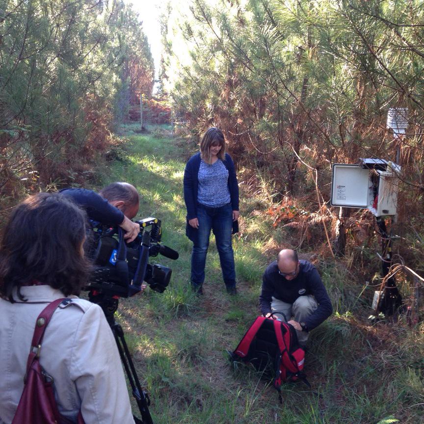 INRAE Nouvelle-Aquitaine Bordeaux (@inrae_na_bdx) on Twitter photo Avec <a href="/F3Aquitaine/">France 3 Aquitaine</a> et @annabeljporte ce matin en #forêt pour une série de #reportages pilotés par <a href="/F3_Americalopez/">América Lopez</a> Avec <a href="/F3Aquitaine/">France 3 Aquitaine</a> et @annabeljporte ce matin en #forêt pour une série de #reportages pilotés par <a href="/F3_Americalopez/">América Lopez</a>