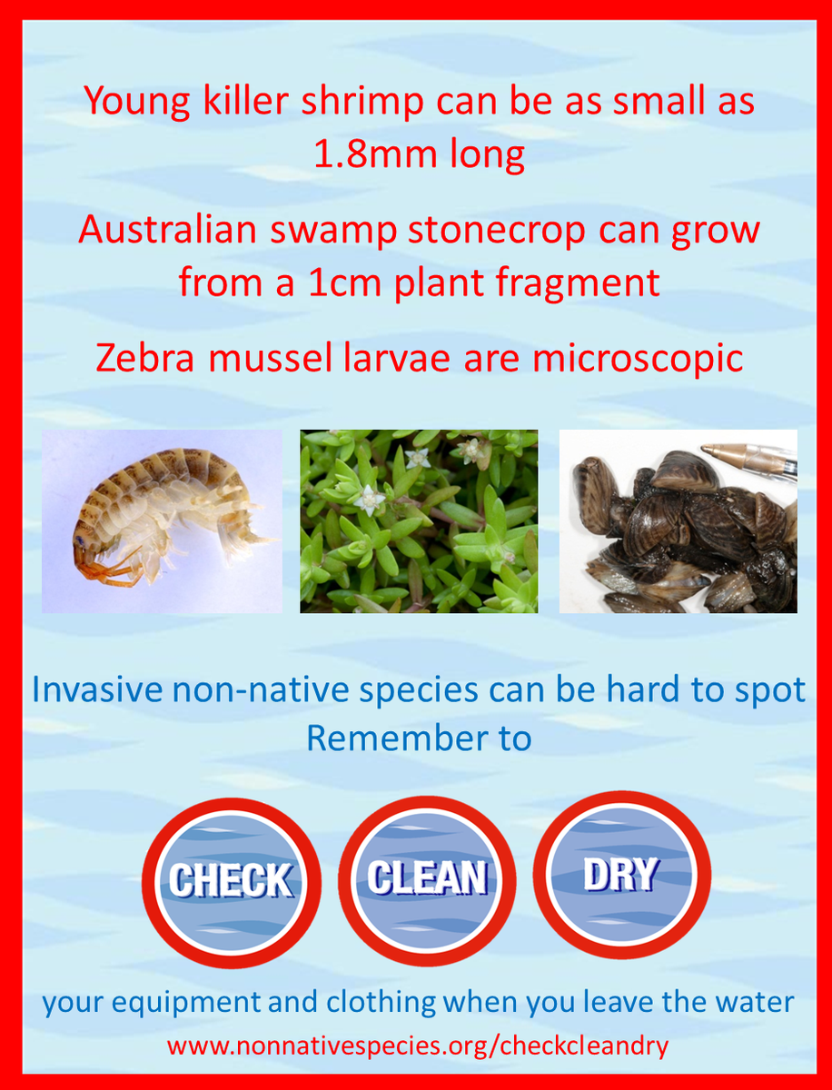 CheckCleanDryGB's tweet photo. #InvasiveSpecies can be easy to miss! Don't forget to #CheckCleanDry http://t.co/LVANgxQVnJ