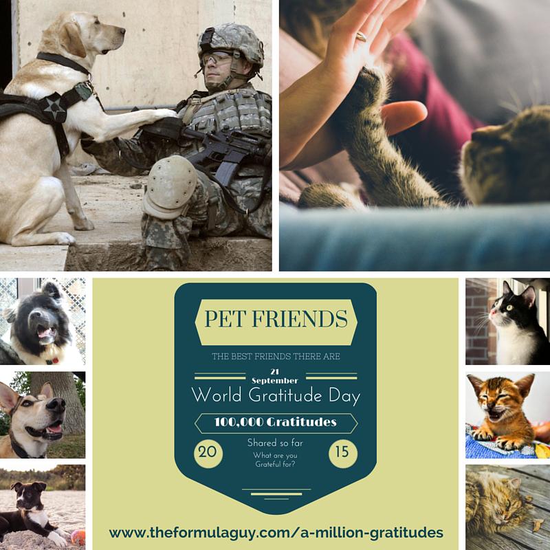 RammyReTweet's tweet photo. Has a #pet had a major impact on your life? Tell us how for #WorldGratitudeDay http://t.co/gvL5UZpBrt Please RT http://t.co/nU7iCSUkgj