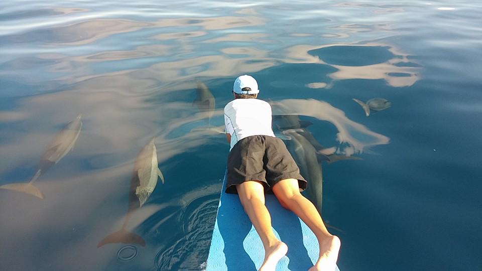 lifecaresharing's tweet photo. Foto by Kevin: "People aboard other boats were jealous coz the dolphins really came close to our boat. #queenstuff." http://t.co/Y8P8vxhtA8