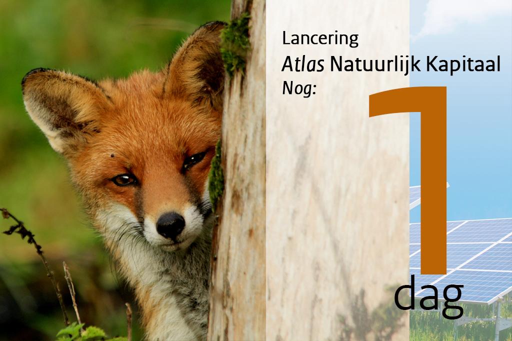 Morgen gaat Atlas Natuurlijk Kapitaal officieel van start. Volg  de ins- en outs van de werkateliers via #ANK2015