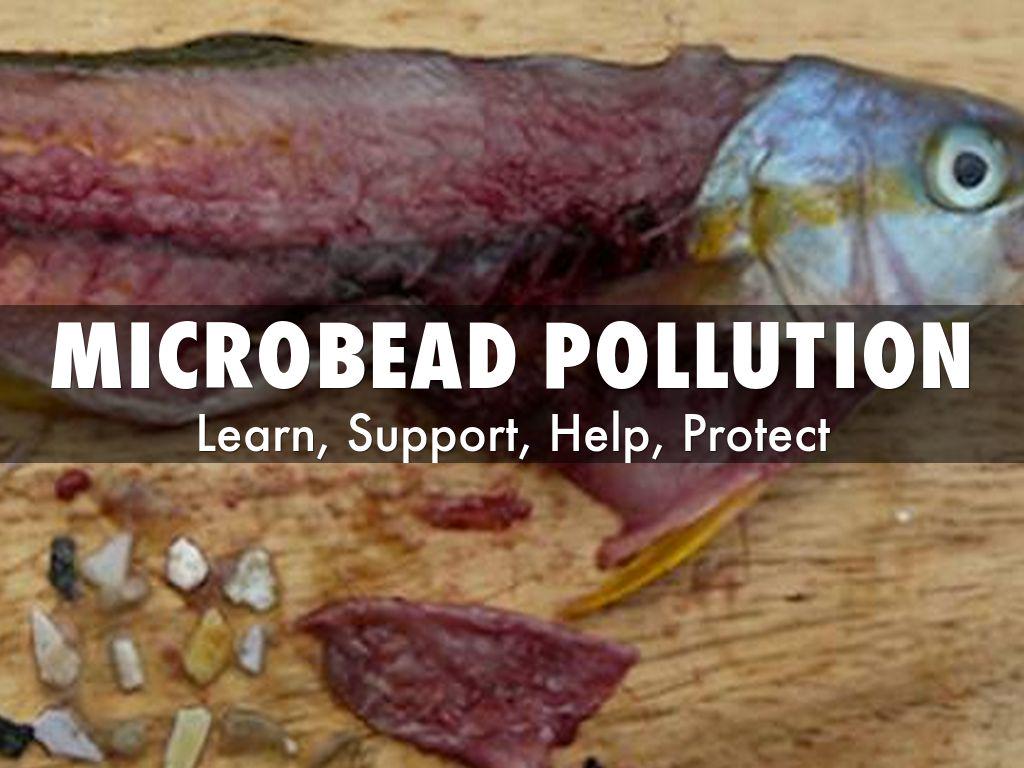 SBrandsAfrica's tweet image. 8 trillion microbeads pollute aquatic habitats every day. Calling for a ban! @PlasticBank @ZeroPlasticWeek #protect