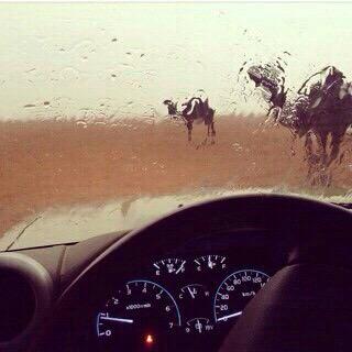 5l_77 tweet picture