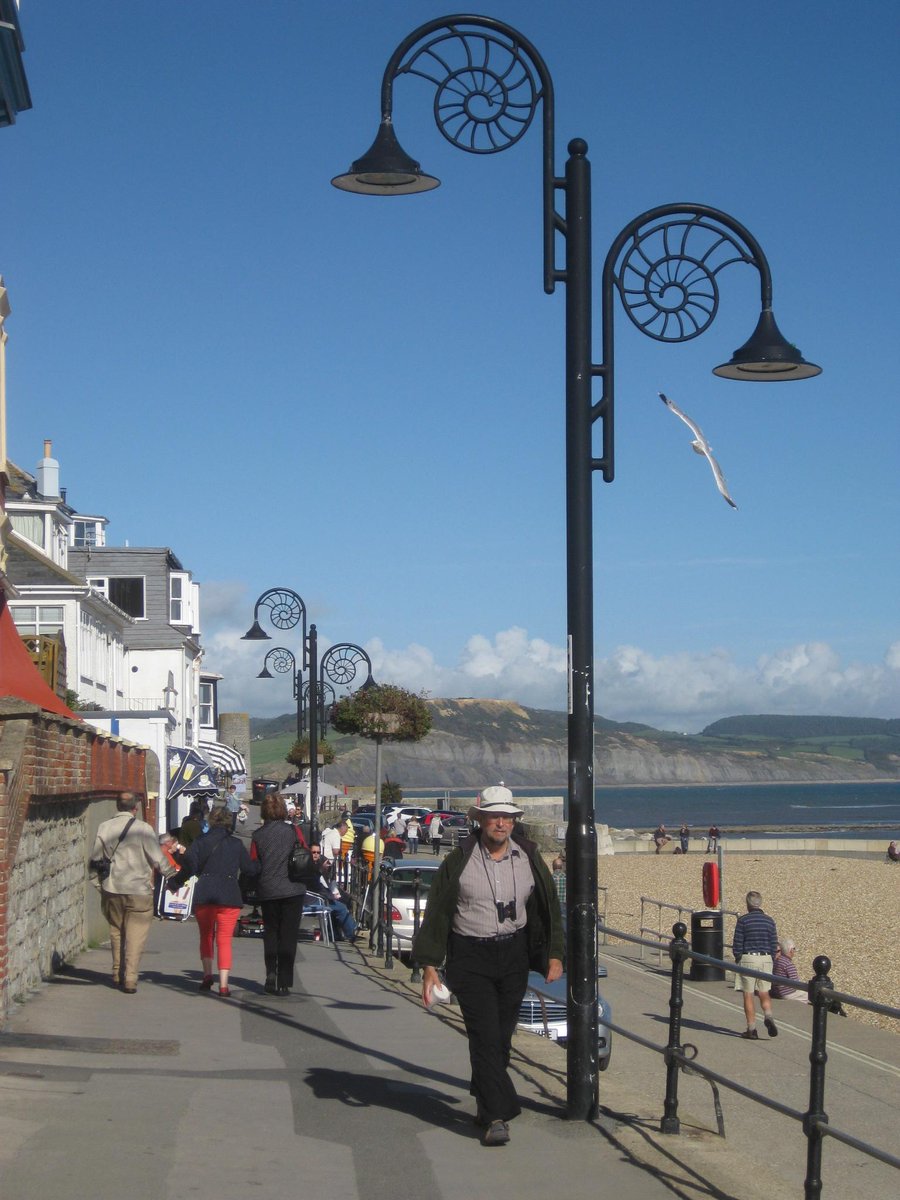 marcelbarelli's tweet image. (Repérages)visit of@LymeRegisMuseum
here&apos;s my first fossil that i found! thanks @FossilWorkshop for great #fossilWalk
