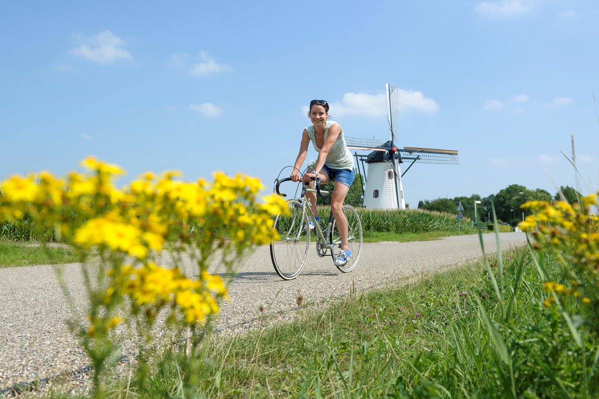 Met in FietsActief 6: het rondje van <a href="/marianne_vos/">Marianne Vos</a>. 'Iedereen wil winnen, maar de vraag is hoe graag je het wilt.'
