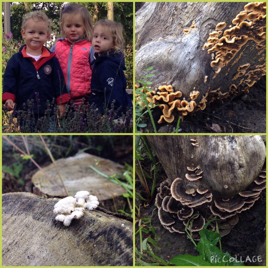 1domijn's tweet photo. #ontdekkingsreis in de tuin van #domijn1 @Mondomijn_ http://t.co/fa6qA6Hm4S