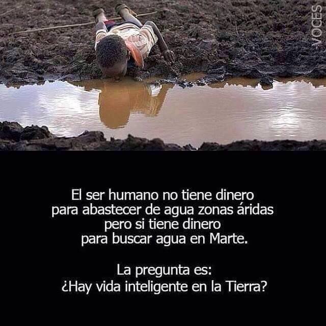 TIERRA SANA (@ecogranjero) on Twitter photo 