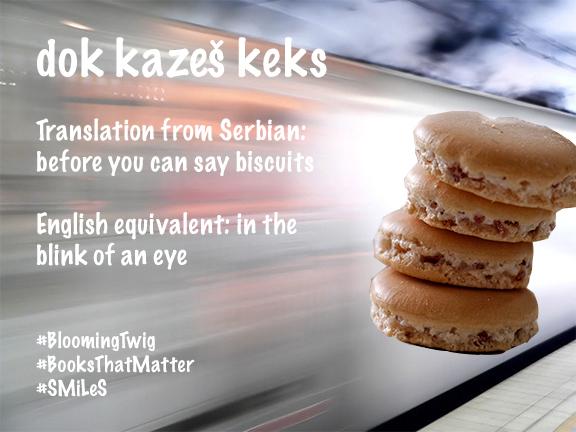 smileseries's tweet photo. Translation from Serbian:before you can say biscuits
English equivalent: in the blink of an eye
#BloomingTwig #SMiLeS http://t.co/x8V2bD9ztb