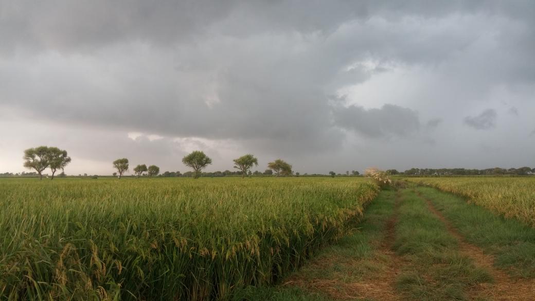 fabi_ansari's tweet photo. Badin view ❤ before rain http://t.co/LhPcVCyMAU