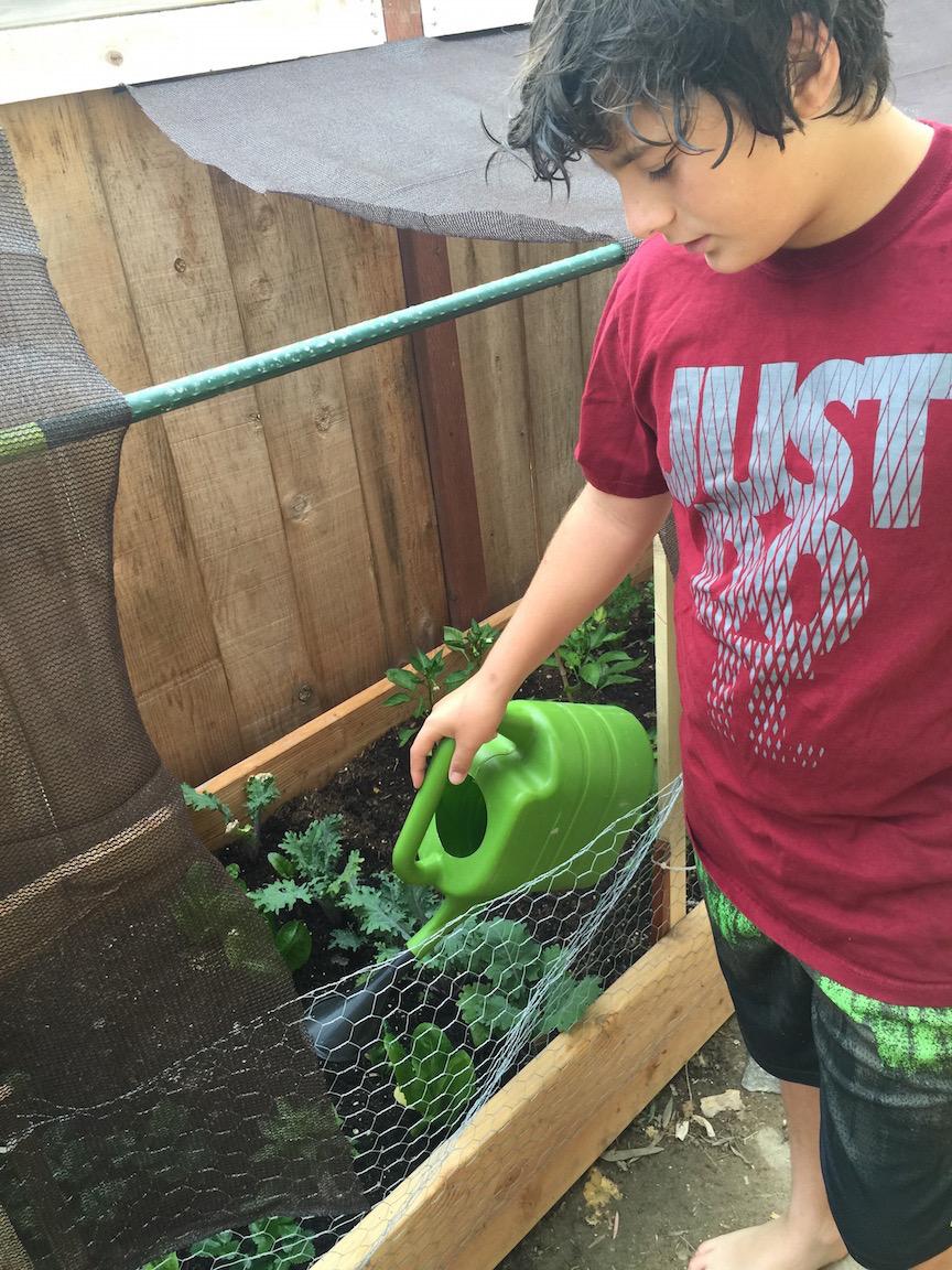 Ecoxotic tweet media