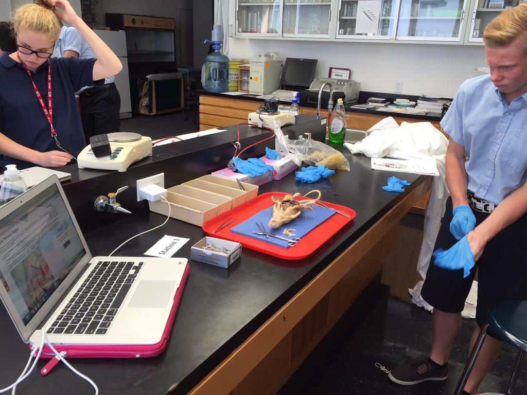 trollwag's tweet photo. Kicking back into gear in grade 11 bio. #TrollingBio #LCSBio @LakefieldCS http://t.co/DRyPY06q26