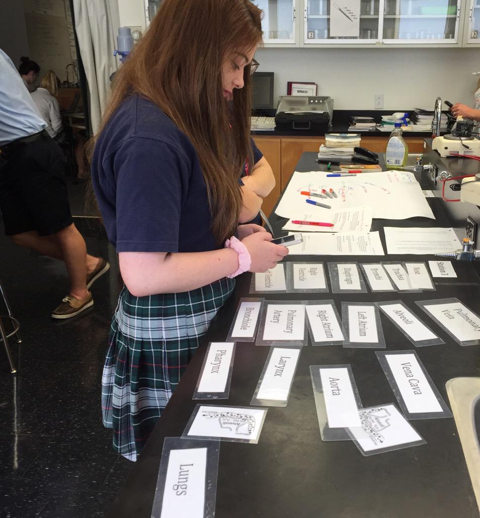 trollwag's tweet photo. Kicking back into gear in grade 11 bio. #TrollingBio #LCSBio @LakefieldCS http://t.co/DRyPY06q26