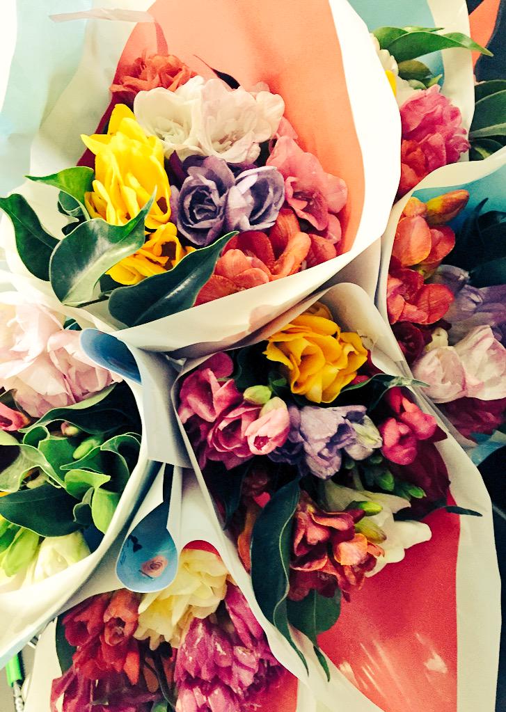 DialCore's tweet photo. Feliz día de la primavera!! http://t.co/ZjQz22gICa