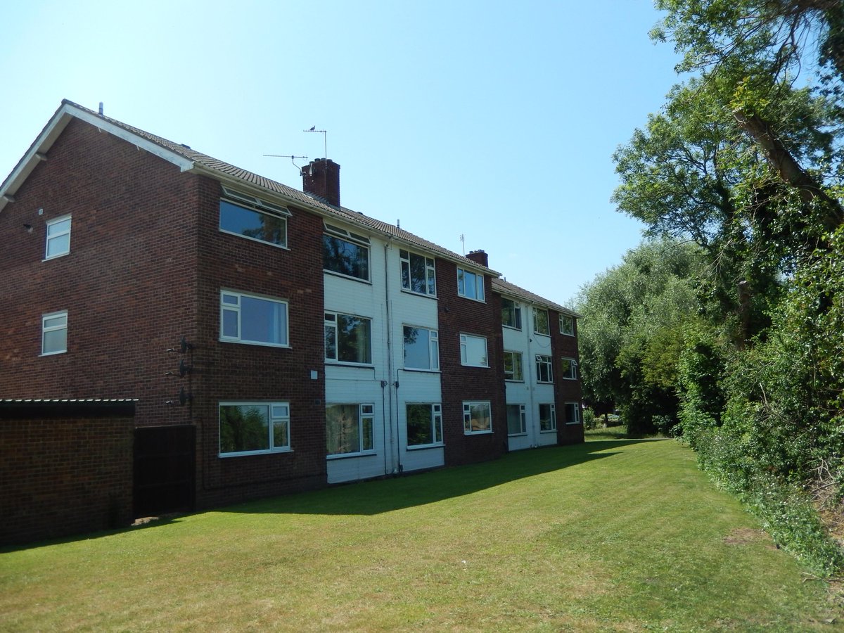 Newton Fallowell tweet media