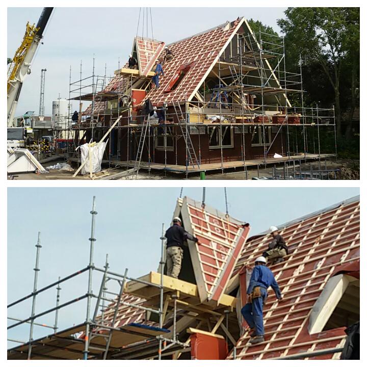 MGoedegebuur's tweet image. Mooie kap van @TIFAHuiskes door @BcEsselink met @Bloemfontein_BV in Dirksland