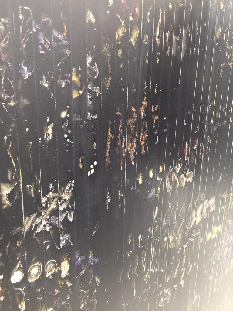 Alex Dismorr tweet media