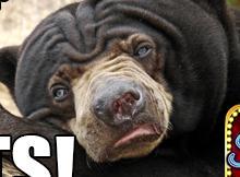 MRCartilli's tweet photo. I LOVE these SLOTS! Get 1 million FREE credits if you install today! Download it here:  http://t.co/aYwF79uflg http://t.co/tRkqwb5tWi
