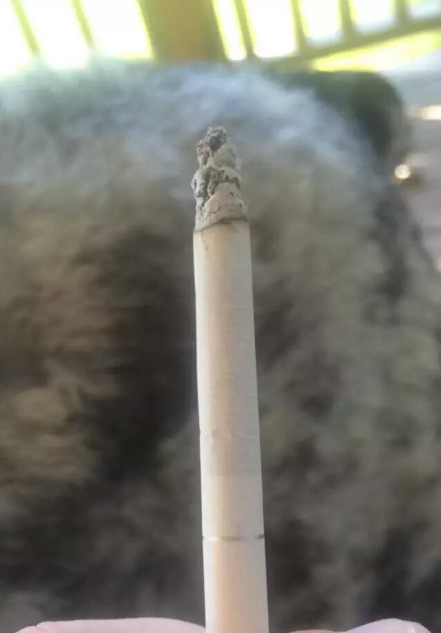 I wanna be yours now.