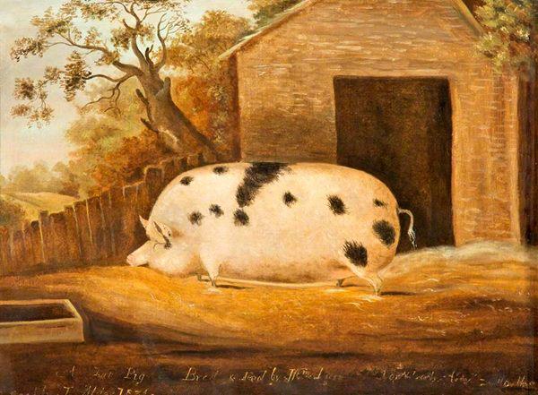 joannewcomb's tweet photo. Lily was devastated. David never called. He never wrote.  #Piggate http://t.co/bCyF2SEfAz