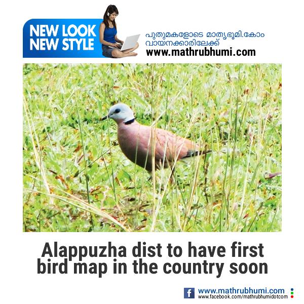 mathrubhumi's tweet photo. Alappuzha dist to have first bird map in the country soon
http://t.co/pxgwOKHIz3
#മാതൃഭൂമി #Birdmap http://t.co/l3zTr7usl7
