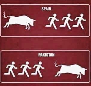 induciv's tweet photo. #eidulazha #EidMubarak #Eid #Spain #Pakistan #PakFightsBack #Bulls http://t.co/kIDdArQ1A5