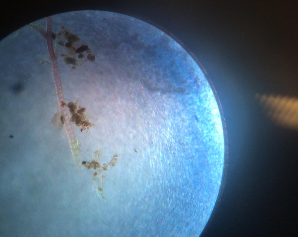 MelowMod's tweet image. En helt annan planet