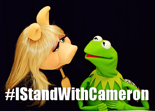 mschenk's tweet photo. #IStandWithCameron #Hameron http://t.co/2WEQtD7EXR