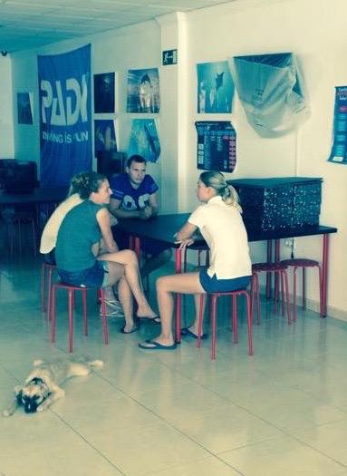 DMinternship's tweet photo. Fish ID for Interns starting their Advanced Open Water Course #DMInternship #DiveMaster #PADI 
http://t.co/Cw48XPwuZ9 http://t.co/VAFE32gn3K