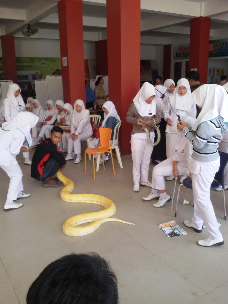 Pecinta Reptil Garut tweet media