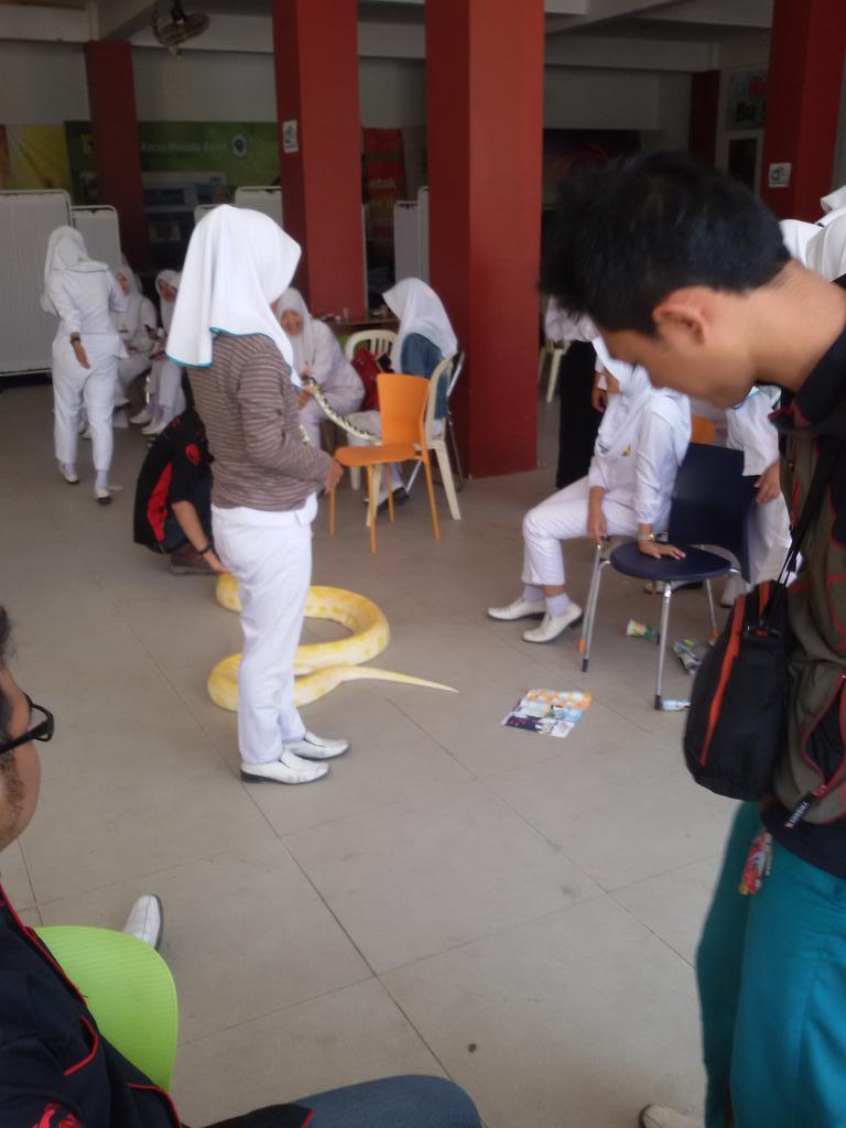 Pecinta Reptil Garut tweet media