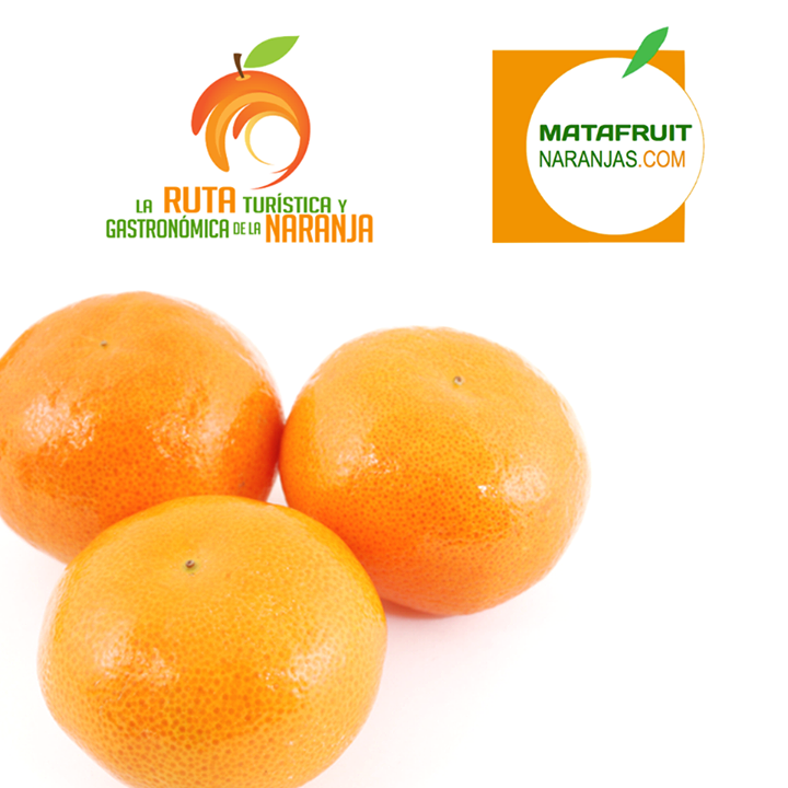 Matafruit's tweet photo. A punto de empezar la temporada.

¿Vienes a la Ruta Turística y Gastronómica de la Naranja? … http://t.co/qMxMQbXWio