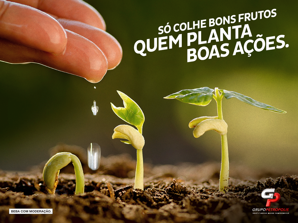 Grupo Petrópolis tweet media