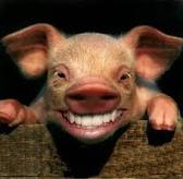 AndyHearn09's tweet photo. Favourite hashtag today #LongTermEconomicHam from @feedthedrummer #piggate http://t.co/CBzbu1VSPK