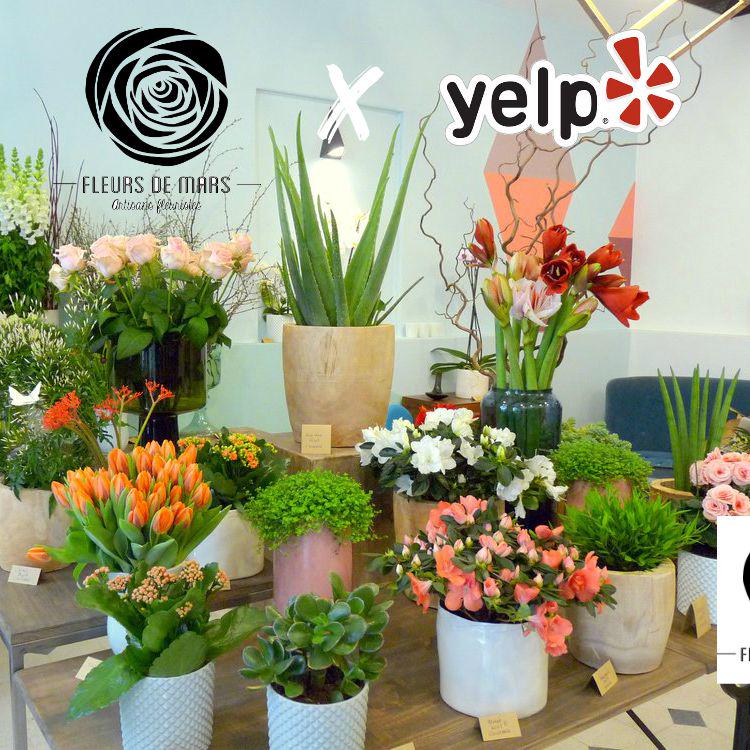 yelpbordeaux's tweet photo. Ce mercredi, de 17h à 19h, on vous offre votre petite plante verte chez @FleursdeMars : http://t.co/cxJVApj5qo http://t.co/KEskqj83wq