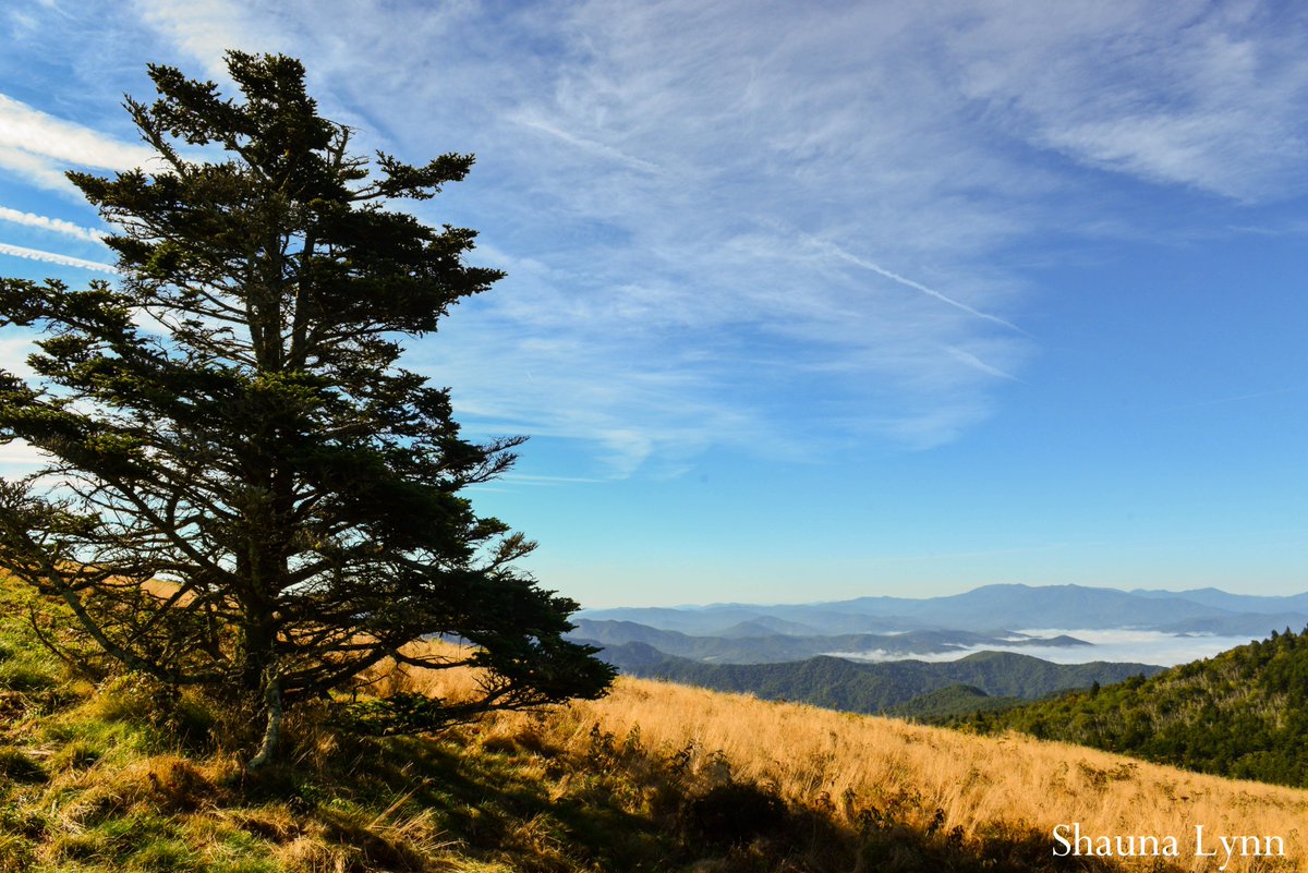 TennStateParks's tweet photo. Good morning Monday!
#tennesseestateparks #appalachiantrail 
photo by Shauna Lynn Holman http://t.co/xfkl6WGsNl