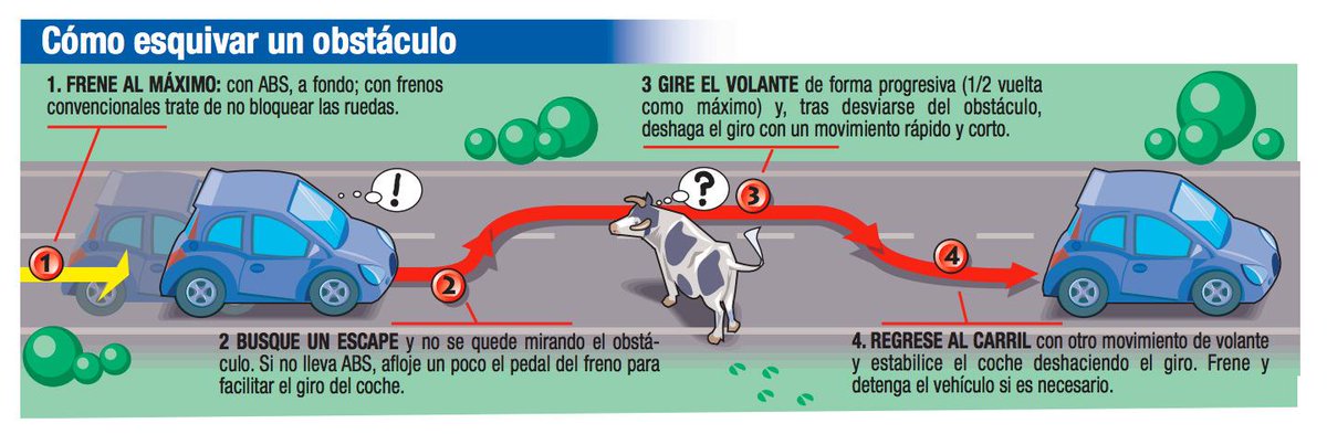 guardiacivil's tweet photo. ¿Te encuentras un animal en la carretera?¿Cómo evitar la colisión? https://t.co/r38DIbueuJ