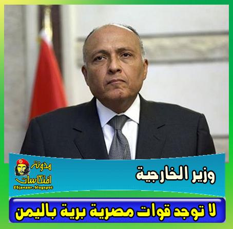 وزير الخارجية : لا توجد قوات مصرية برية باليمن