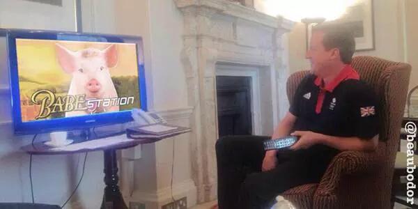 OhMyDaleyss's tweet photo. I really shouldn't laugh but this is too funny 😂😂😂 #piggate http://t.co/Y8nmWxEWEb