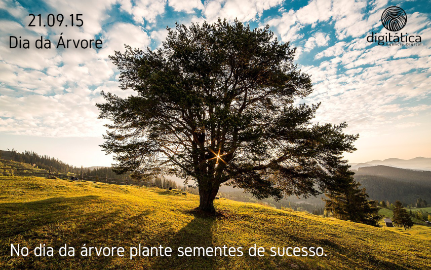 digitatica's tweet photo. http://t.co/SsdefuyAMH